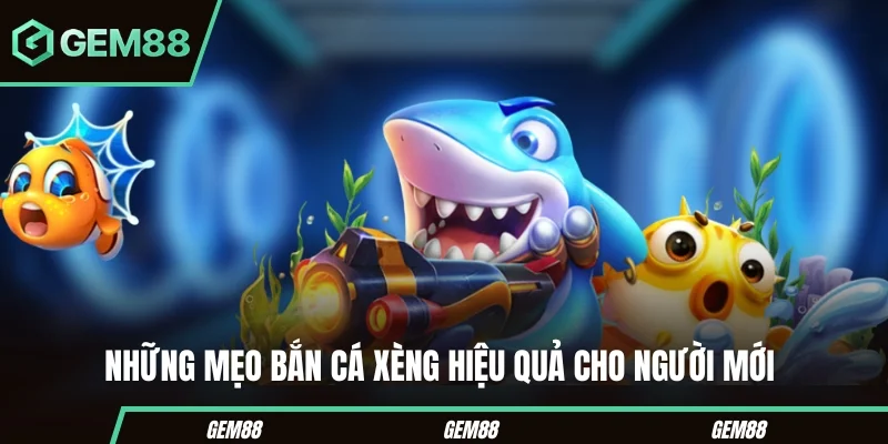 Những mẹo bắn cá xèng hiệu quả cho người mới