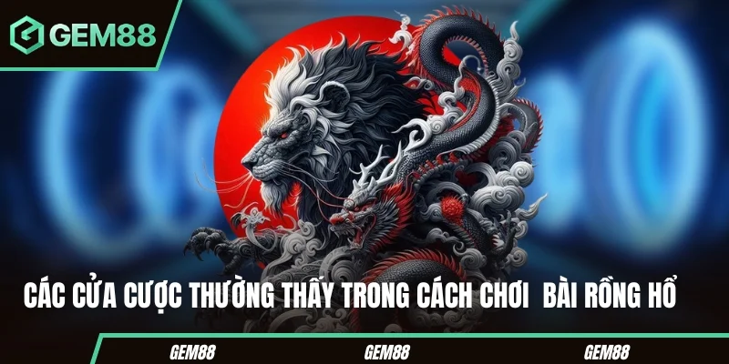 Các cửa cược thường thấy trong cách chơi bài Rồng Hổ