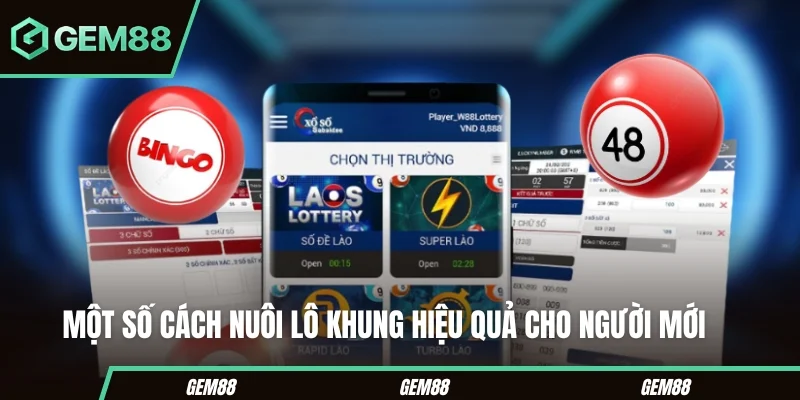 Một số cách nuôi lô khung hiệu quả cho người mới